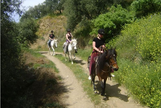 Guests riding horses along countryside paths with views of nature