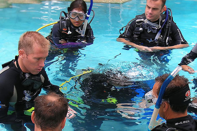 Underwater exploration of Mediterranean sea life near Crete